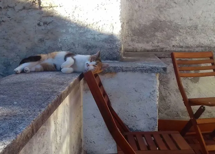 Elegant Historic Large House On Διαμέρισμα Gravedona