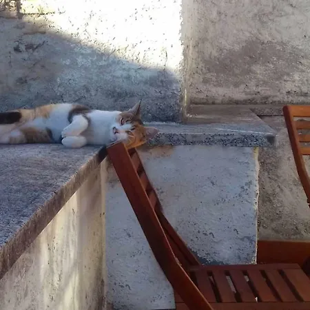 Elegant Historic Large House On Apartamento Gravedona