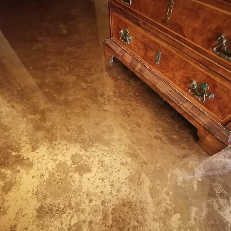 Elegant Historic Large House On